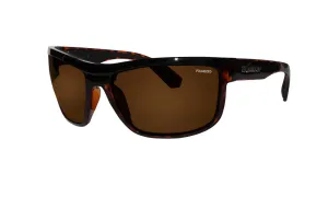 HUB Safety - Polarized Tortoise